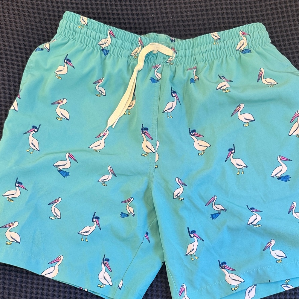 Chubbies Teal Shorts with Pelican Design